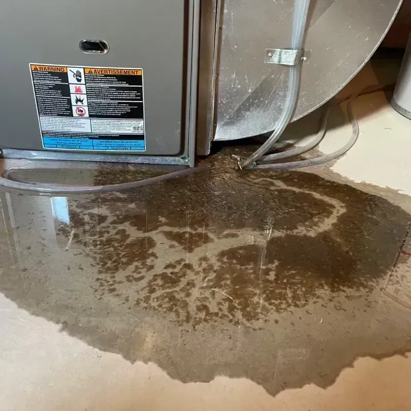 Appliance Leak Cleanup in Boulder Hill, IL